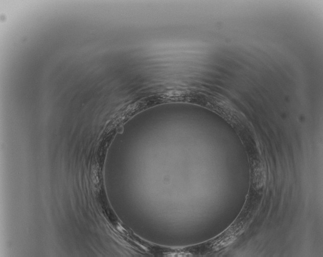 X0000068840654200605121408