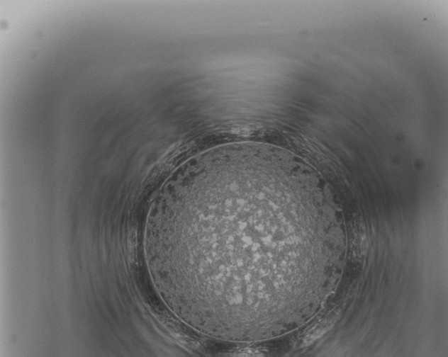 X0000068840656200605121408