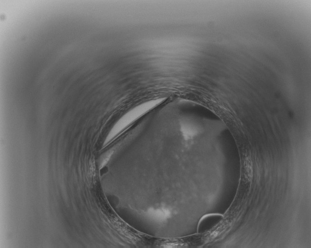 X0000068840657200605121408