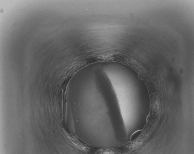 X0000068840658200605121408