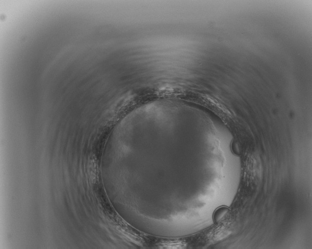 X0000068840659200605121408