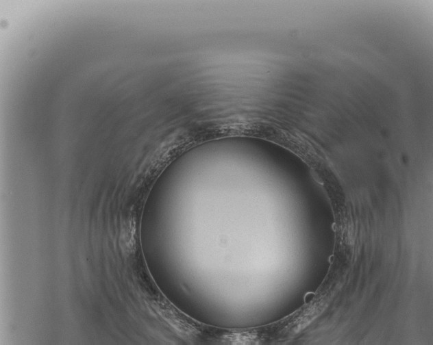 X0000068840660200605121408