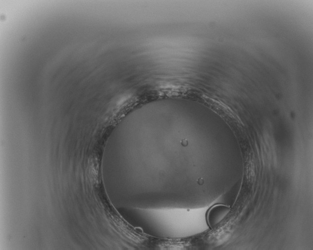 X0000068840661200605121408