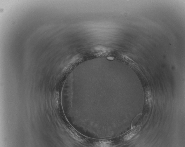 X0000068840664200605121408