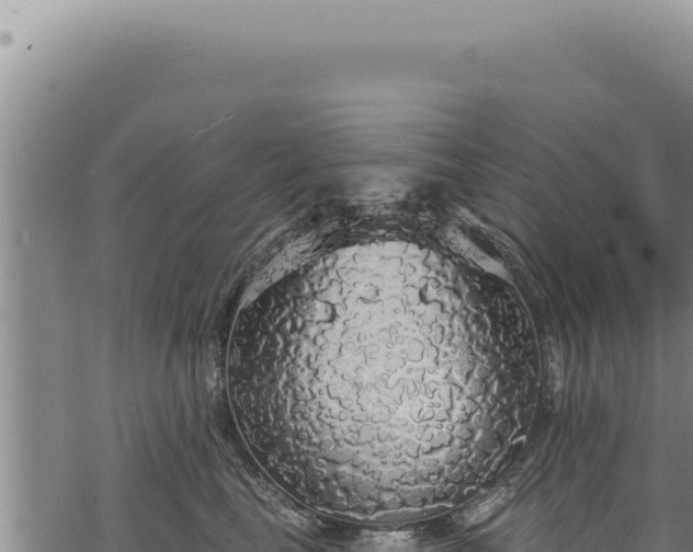 X0000068840665200605121408