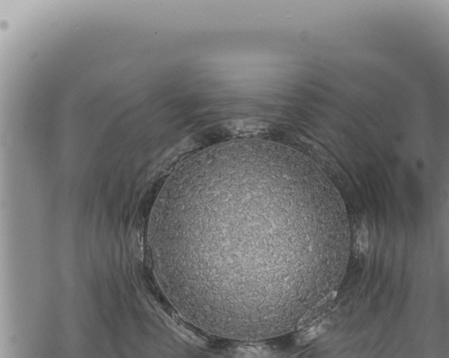 X0000068840666200605121408