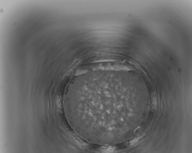 X0000068840667200605121408