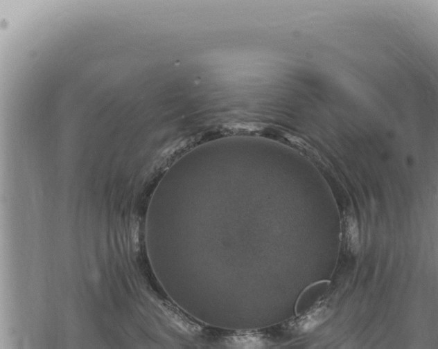 X0000068840668200605121408