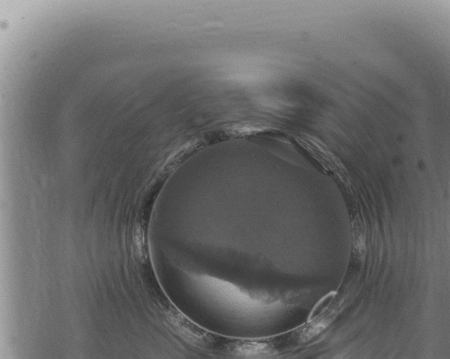 X0000068840669200605121408