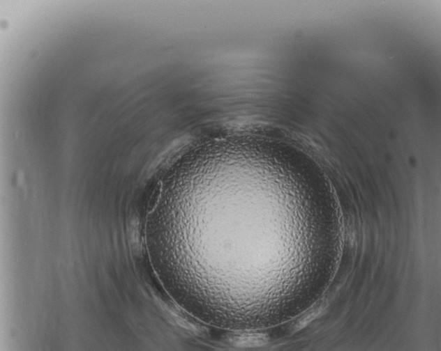 X0000068840670200605121408