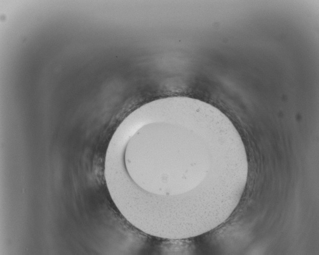 X0000068840672200605121408