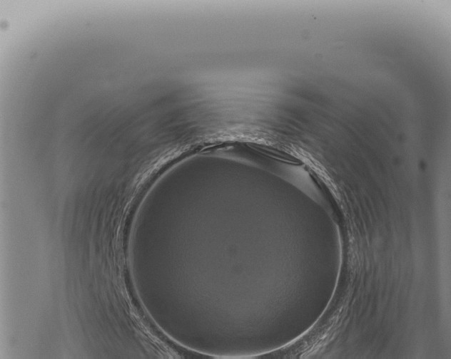 X0000068840673200605121407