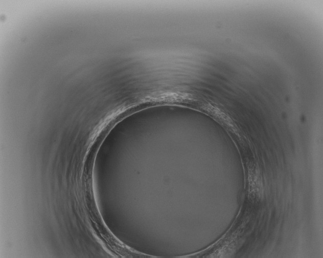 X0000068840674200605121407