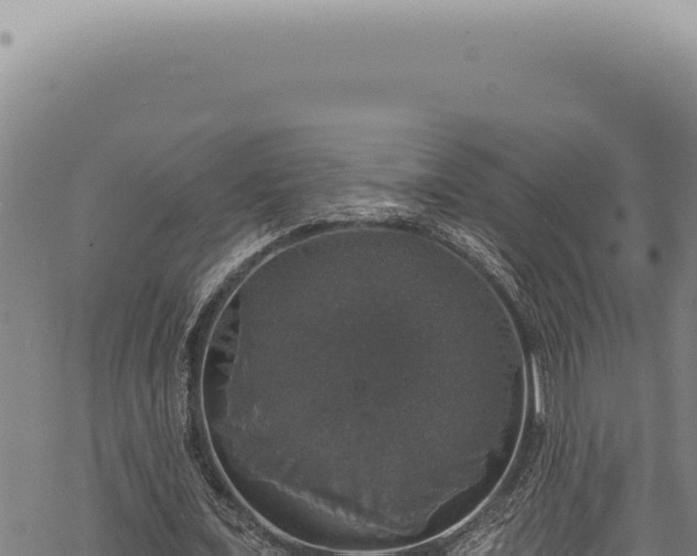 X0000068840675200605121407