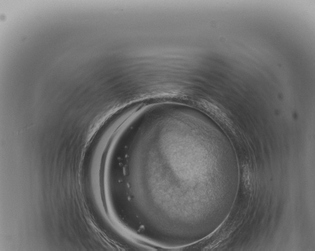 X0000068840676200605121407