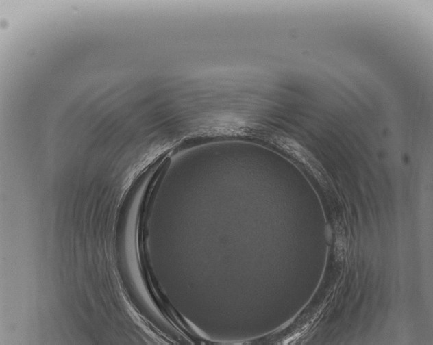 X0000068840677200605121407