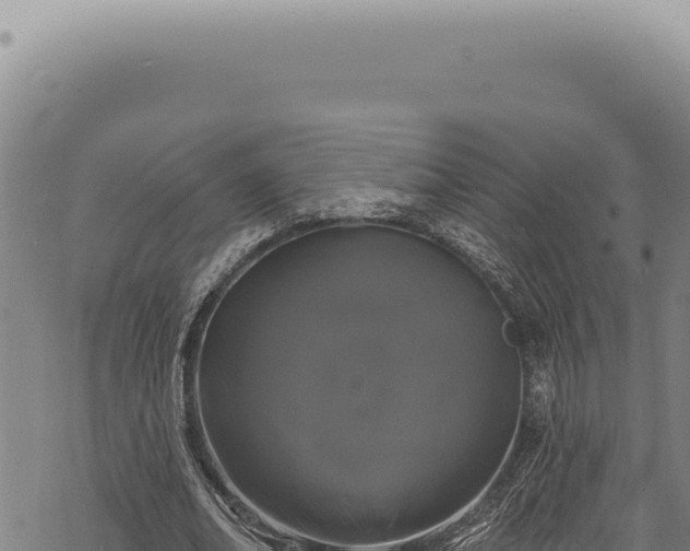 X0000068840678200605121407