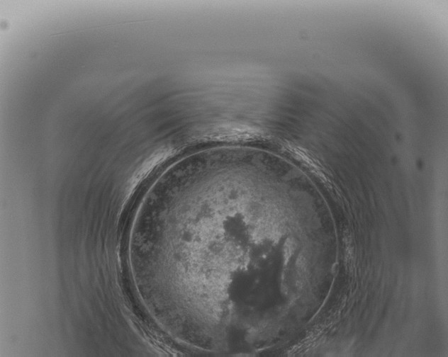 X0000068840679200605121407