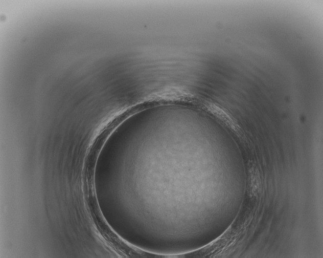 X0000068840680200605121407