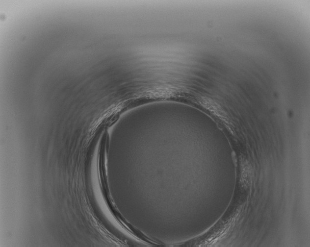 X0000068840681200605121407