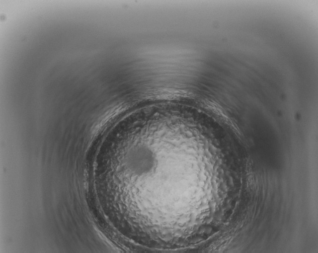 X0000068840683200605121407