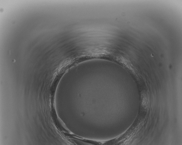 X0000068840685200605121407