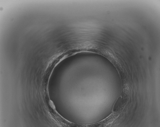 X0000068840688200605121407