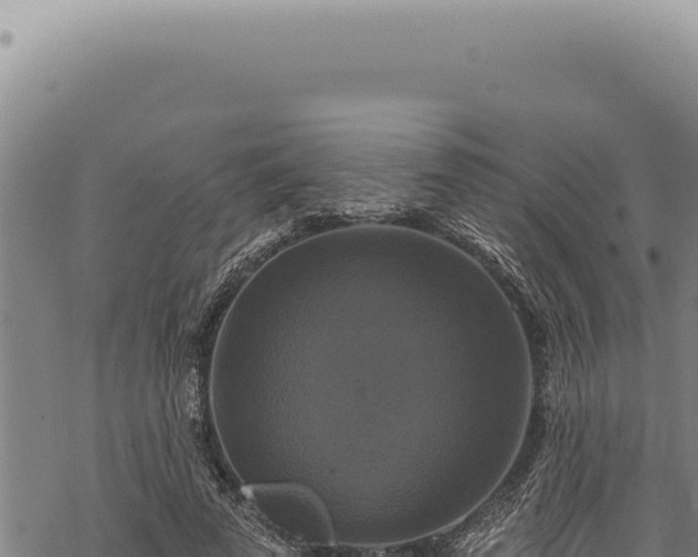 X0000068840689200605121407