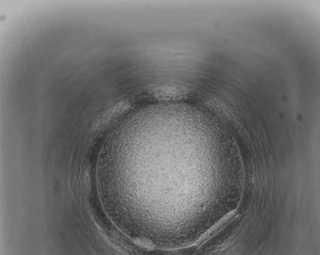 X0000068840690200605121407