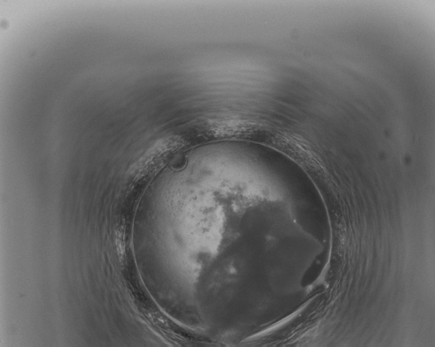 X0000068840691200605121407