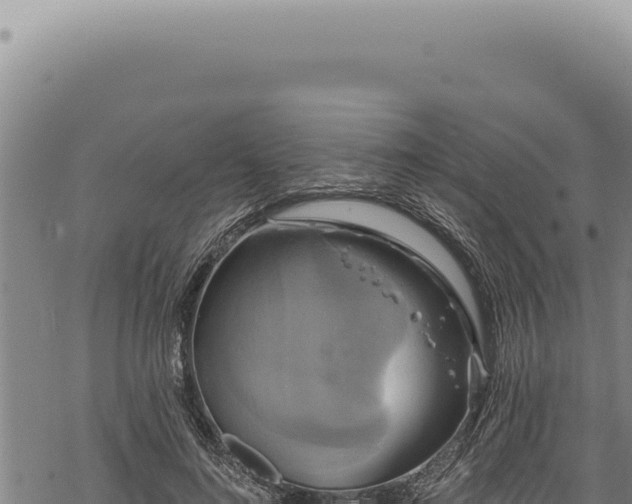 X0000068840692200605121407