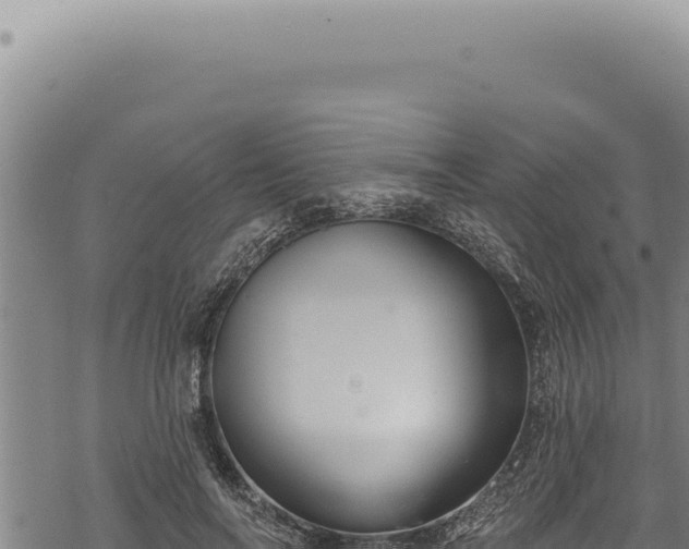 X0000068840694200605121407