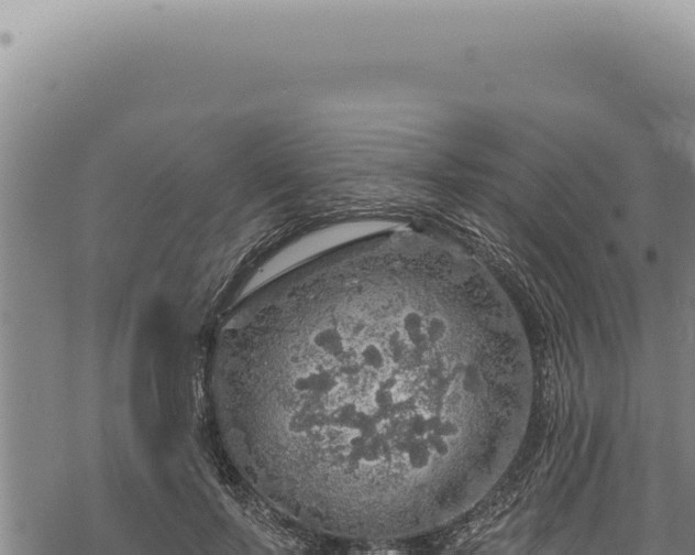 X0000068840695200605121407