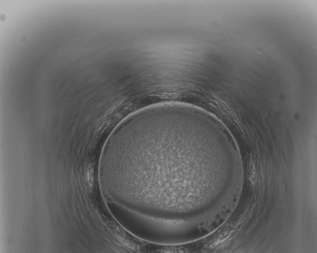 X0000068840697200605121407