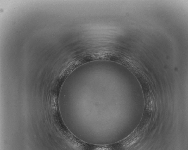 X0000068840699200605121407