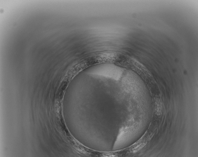 X0000068840701200605121407