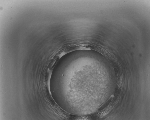 X0000068840704200605121407