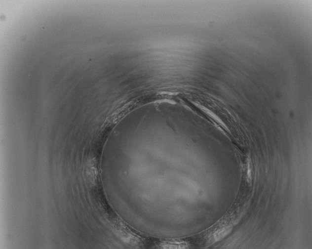 X0000068840707200605121407