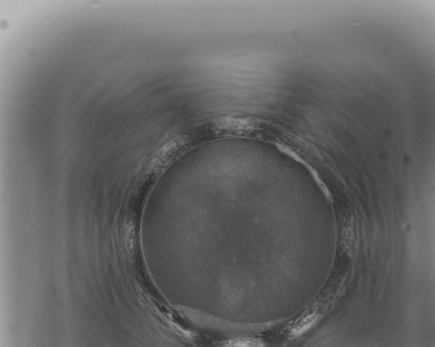 X0000068840708200605121407