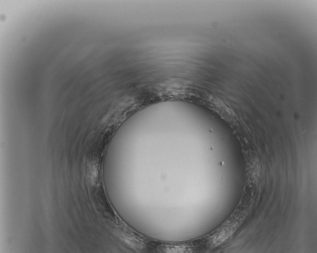 X0000068840709200605121407