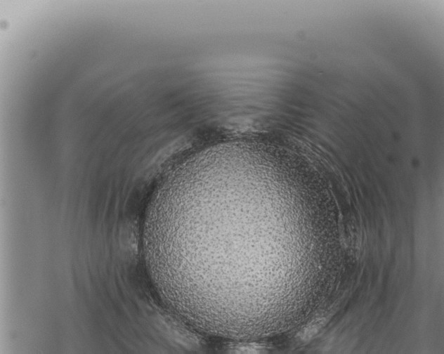 X0000068840710200605121407