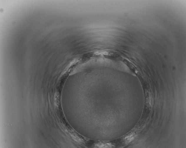 X0000068840712200605121407