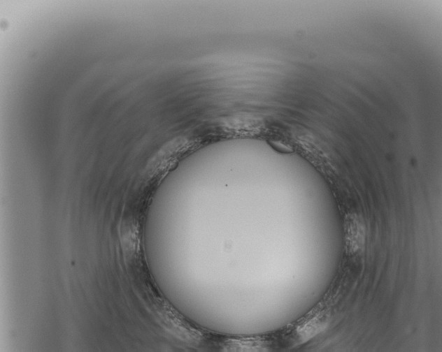 X0000068840713200605121407