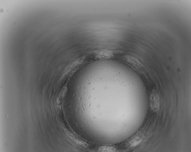 X0000068840714200605121407