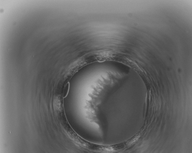 X0000068840715200605121407