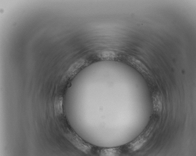 X0000068840717200605121406