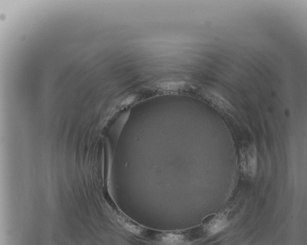 X0000068840718200605121406