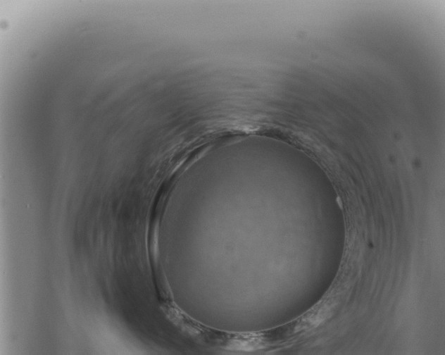 X0000068840720200605121406