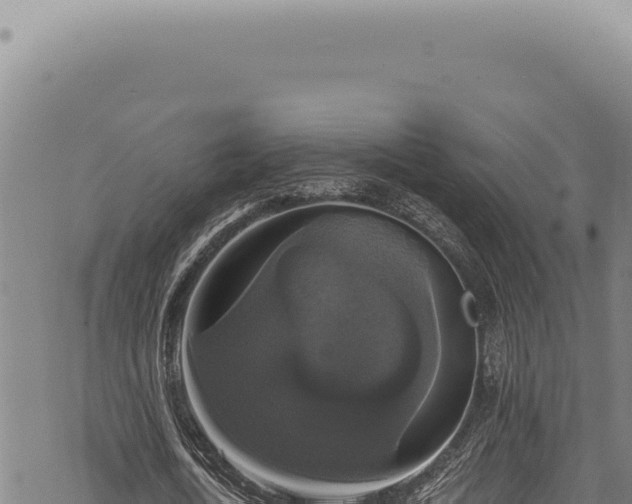 X0000068840722200605121406