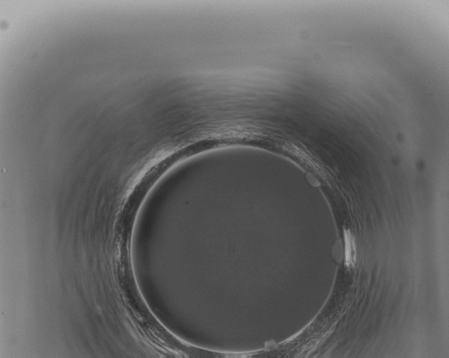 X0000068840723200605121406